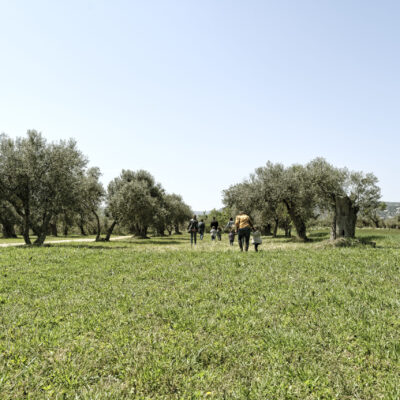 Siglo de resistencia agrícola